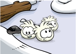 witte-puffles